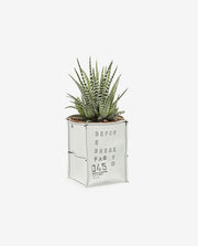 Miniature Plant Pot for Stylish Indoor Decoration