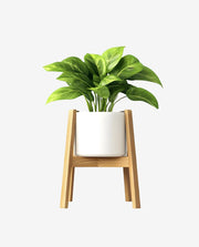 Durable Plastic Fiber Plant Pot for Indoor Decor