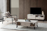 Solina TV Stand with Modern Matte Black Legs & Minimalist Storage